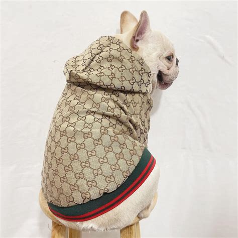 gucci dog raincoat